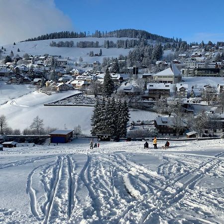 Haus Am Sonnenberg,Todtnauberg, Ferienwohnung 002, Direkt Am Skilift-Skipiste, Naehe Feldberg Exterior foto