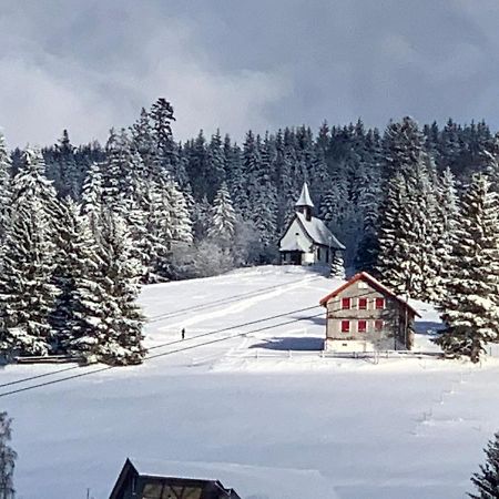 Haus Am Sonnenberg,Todtnauberg, Ferienwohnung 002, Direkt Am Skilift-Skipiste, Naehe Feldberg Exterior foto